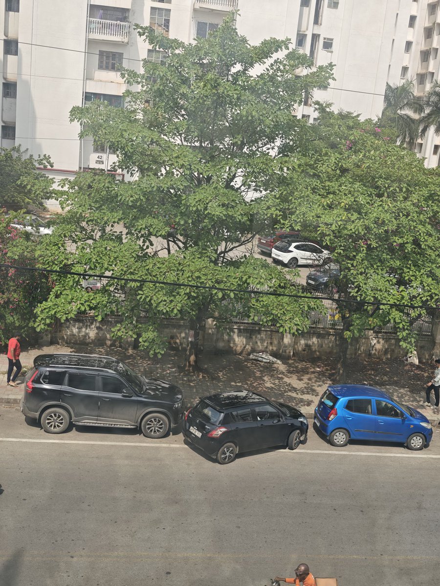 Pathtoremember's tweet photo. When you learn how to park from Galgotias University 🔥 https://t.co/8W8AMNTnDi