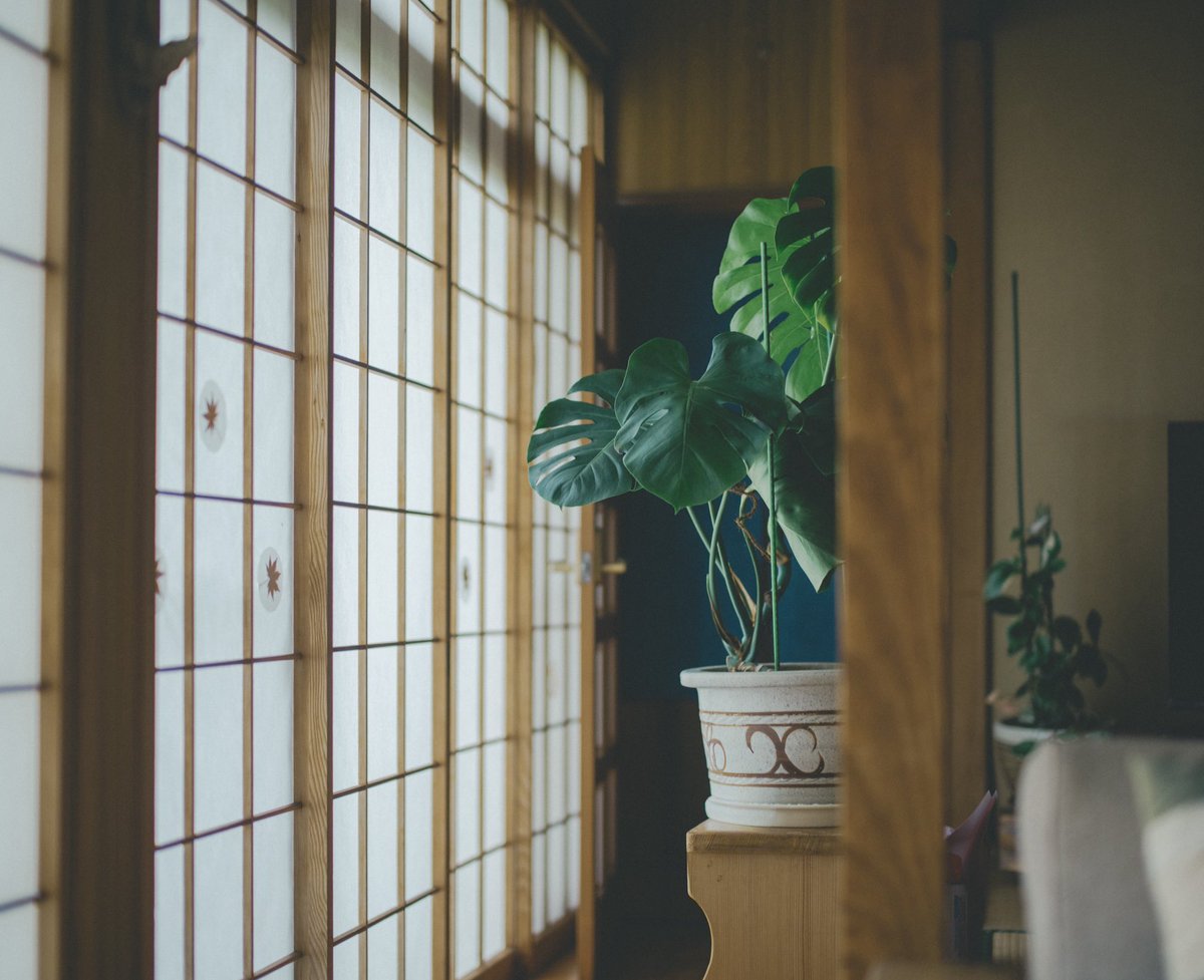 rintaro shimada tweet media