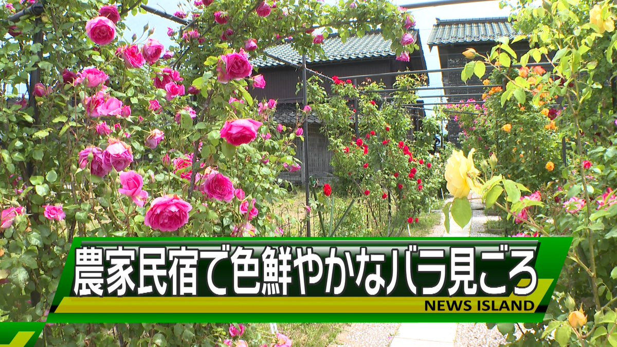 サドテレビ【公式】 tweet media