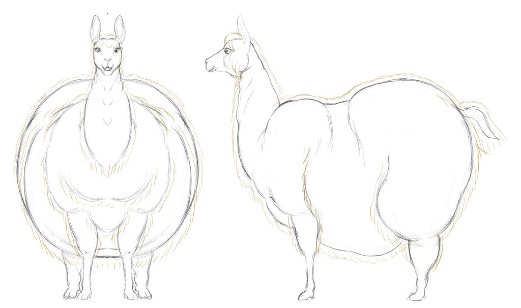 OSoobel's tweet photo. @yuwaku_art What about a big beautiful Llama? Such rolls wil make her fluffs vawe good while walking. https://t.co/RLIXcIqPao