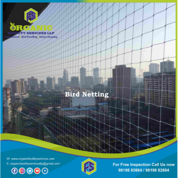 LlpOrganic's tweet photo. Bird Netting Installation Service in Santacruz for Cleaner Balconies ..For more info visit...https://t.co/fxWB34IoR1 https://t.co/eTPEzUq6Lt