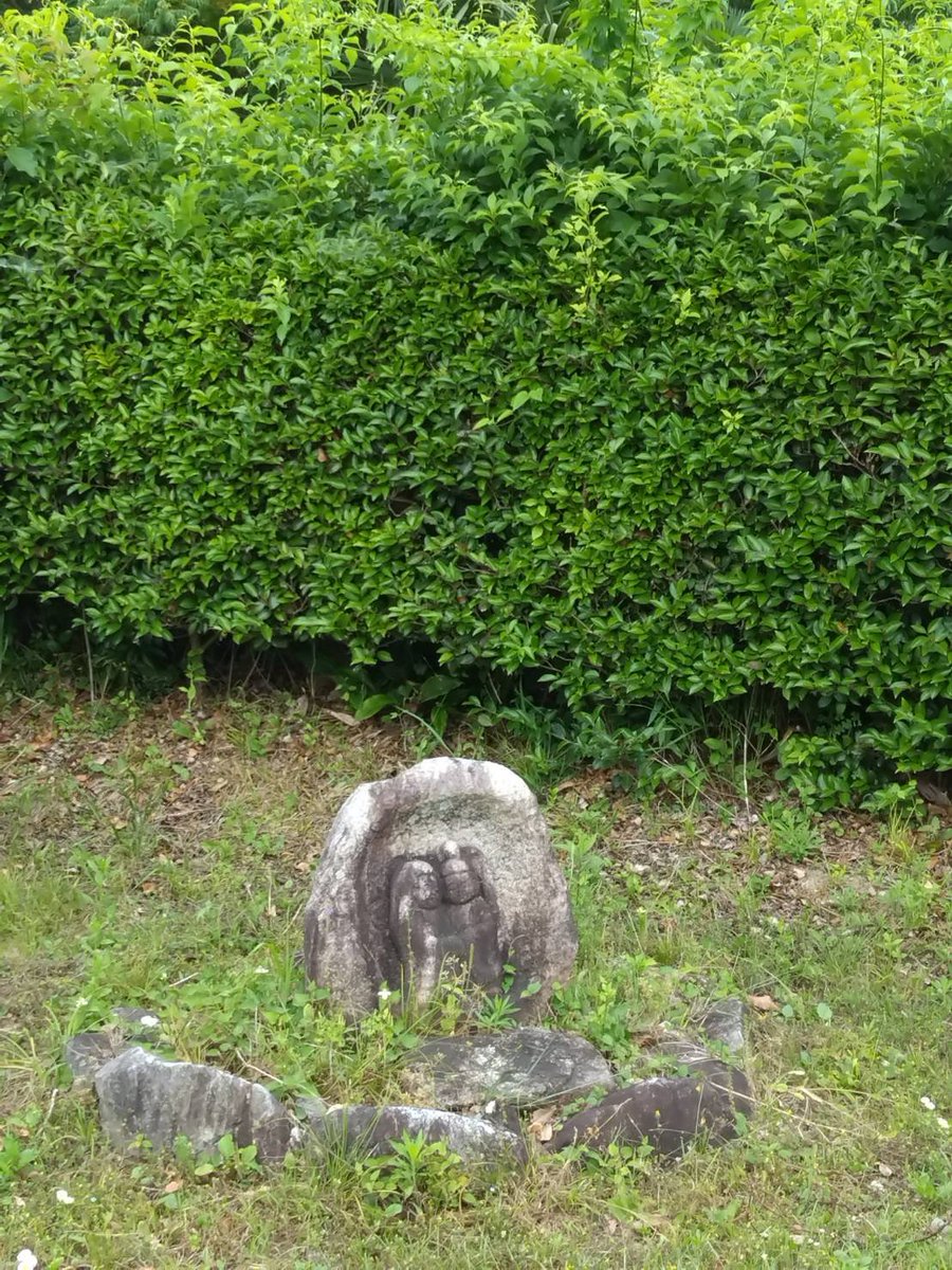 shinfujin_mtsk's tweet photo. あじさい班、てくてく小組の活動です。

伊勢寺町の山裾を鳥のさえずり聞きながら約1時間歩き、ランチをしておしゃべりして…楽しいひと時を過ごしました。

これくらいの気温が1番歩きやすいですね。

#新日本婦人の会
#てくてく小組 https://t.co/RrHZQ93FI8