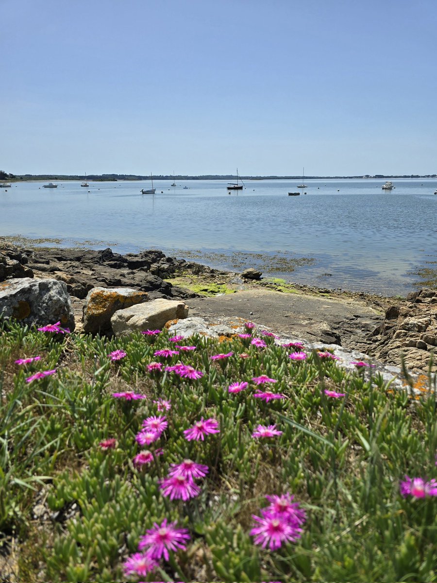 Tour du Golfe tweet media