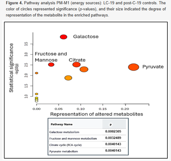HarrySpoelstra's tweet photo. Cellular Metabolic Signatures of Long COVID-19

🚨Long COVID = MITOCHONDRIAL COLLAPSE
➡️MECHANISTIC EVIDENCE IS BECOMING OVERWHELMING: LC= CELLULAR ENERGY CRISIS!

➡️Small, but very interesting study from the USA in which they profiled metabolic dysfunction in IMMUNE CELLS of Long COVID (LC-19) patients versus recovered and pre-pandemic controls,
 
➡️Study:
- Small cohort of 20 volunteers (10 LC-19, 10 post-COVID recovered without symptoms),
- Analysed blood-derived immune cells for disruptions in glucose, galactose, pyruvate, fructose, mannose, and citric-acid-cycle pathways, mitochondrial function, energy utilization, responses to IL-1β/IL-6, and symptom-severity correlations,

➡️Findings:
- LC-19 cells are trapped in prolonged stress, they initially burn energy sources at high rates but rapidly exhaust,
- Energy utilization in recovered (non-LC) individuals is 2–3x higher than in virus-naïve controls, in LC-19 it collapses,
- Mitochondria cannot efficiently process fuel, causing reduced energy output,
- Patients with ≥4 symptoms showed the most dramatic metabolic failure,
- Immune cells also became desensitized to inflammatory signals,

➡️Symptom Link:
- Fatigue, dizziness, memory issues, shortness of breath, muscle pain, and exercise intolerance directly match the cellular “energy crisis,"

➡️Limitations:
- Small sample (n=20), larger validation studies needed.

‼️SO AGAIN, Long COVID is not psychological or vague inflammation , it is a measurable, severe cellular energy crisis driven by mitochondrial collapse and metabolic reprogramming. Human cells are literally running out of power, and current medicine hasn’t got a fix yet!

‼️With the overwhelming mechanistic consensus from 2024–2026 studies (including this study), it’s clear that SarsCoV2 can directly damage mitochondria, suppress OXPHOS genes, trigger structural collapse, and cause persistent ATP collapse, turning cells into an energy blackout, IMMUNE CELLS included. Symptoms follow directly. #LC
#AvoidSars2 #AvoidReinfections #LongCOVID #MitochondrialDysfunction
https://t.co/Xwg2W3ZFOd