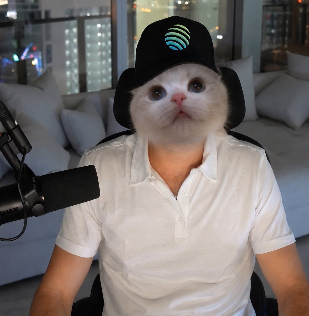 Grrr_sol's tweet photo. @JupiterExchange Big week for us 🐱 https://t.co/IwOW8LOphM