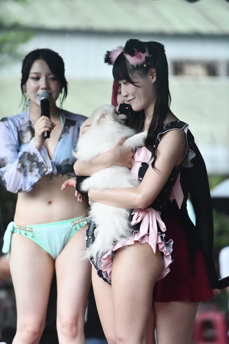 Keyword Idol tweet media