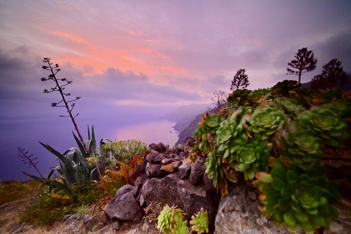 Radio_Luz_'s tweet photo. Lindo amanecer en la Villa de #Garafía ✨🌀 #LoNatural 🍂🍃 #LaPalma [📸 Ángel Roc] https://t.co/L78I2Xamho