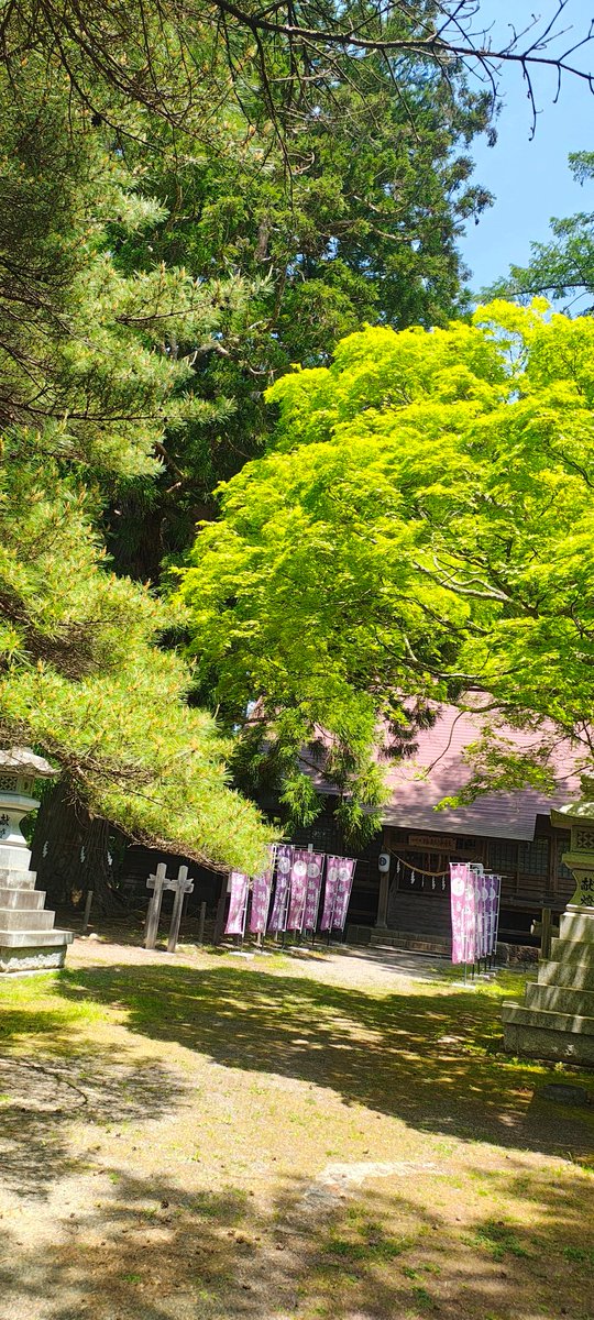 tunoya358's tweet photo. 今日は青森県三戸町、八戸市の神社をお参り！ありがとうございました🥹 https://t.co/pNswM2O5Ve