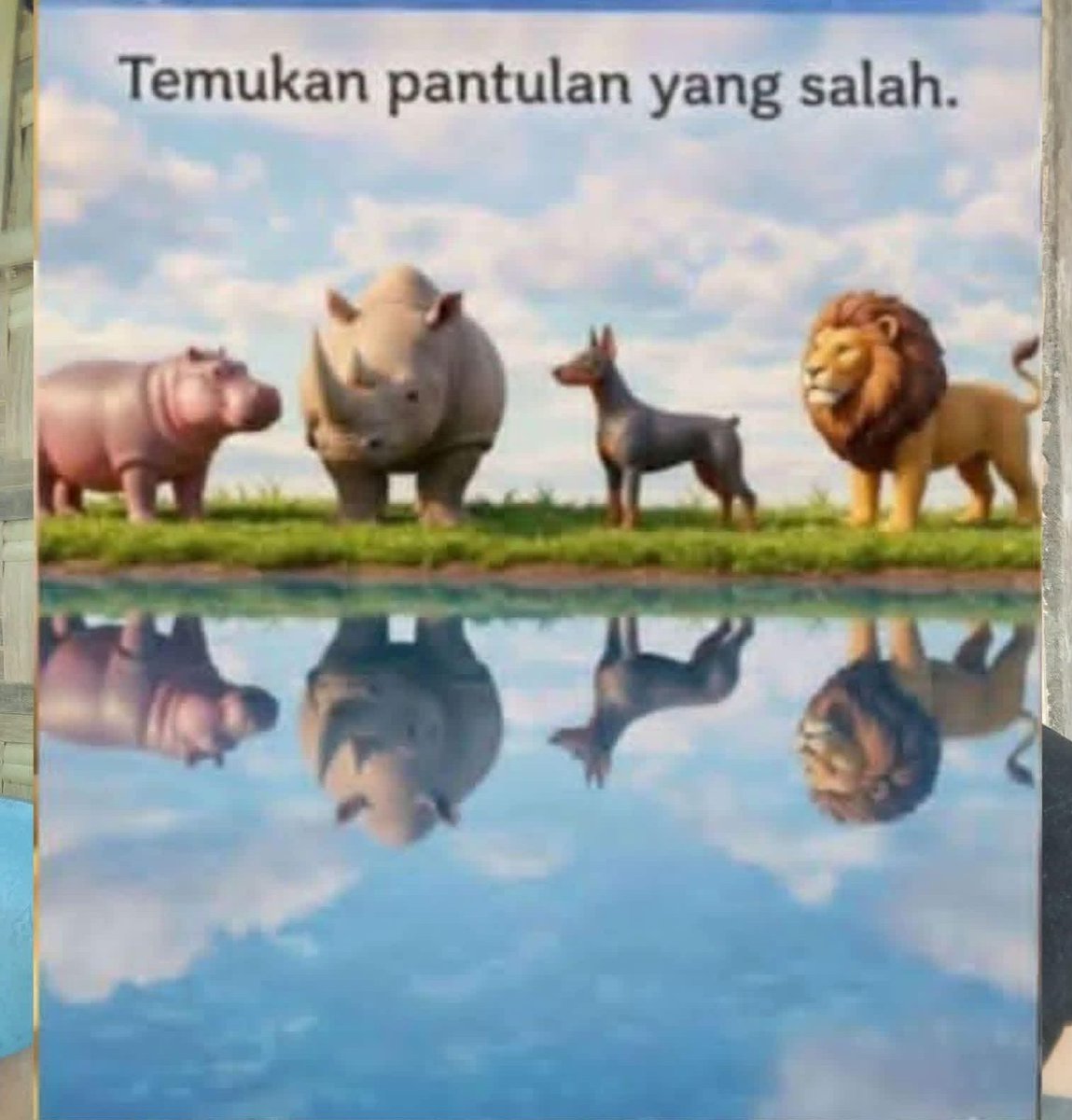 Recehin Aja tweet media