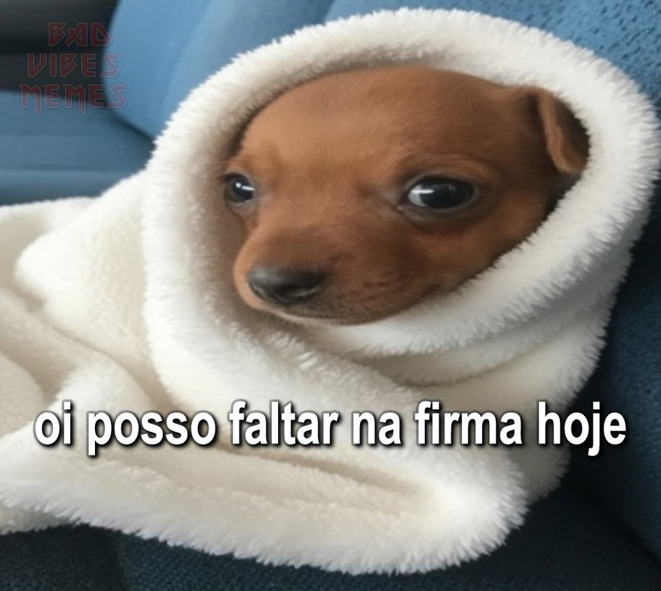 acervo doguinhos tweet media