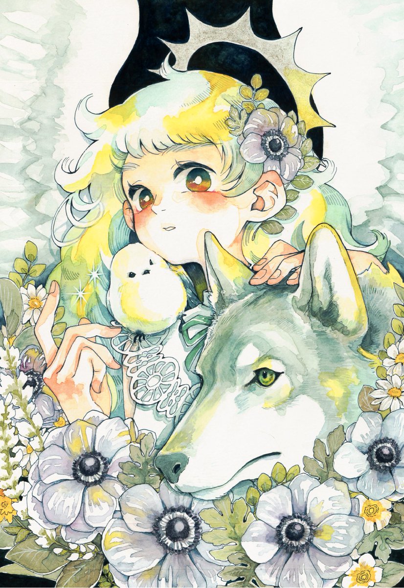 煌めく🕊️ #illustration #透明水彩
