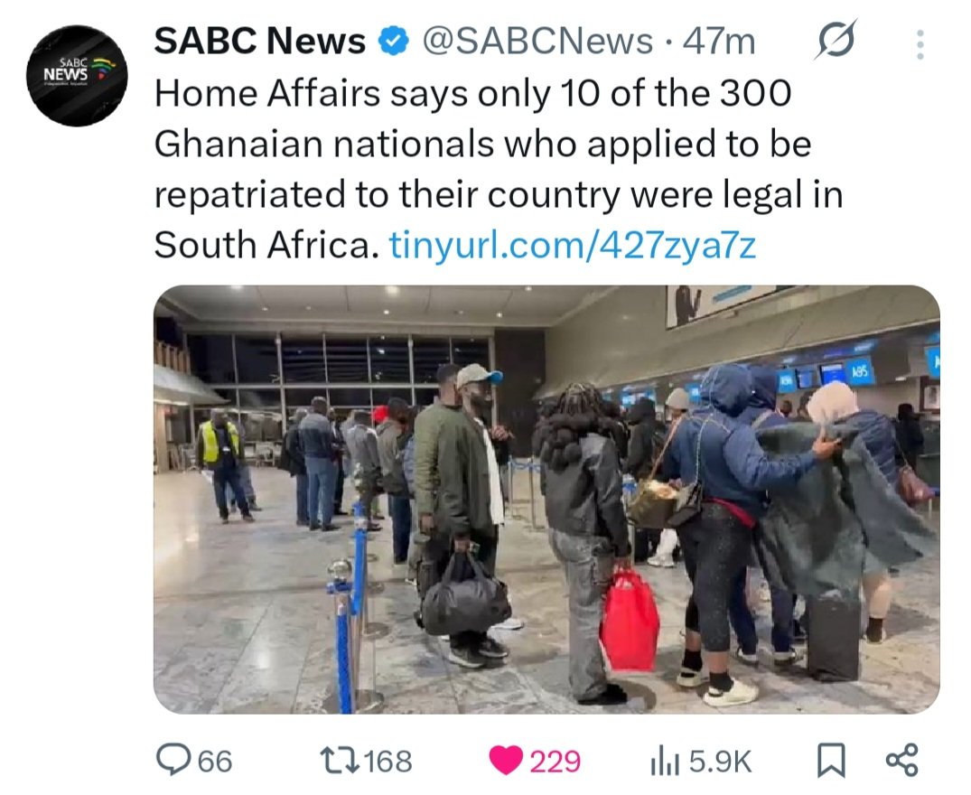 Native Bulldozer tweet media