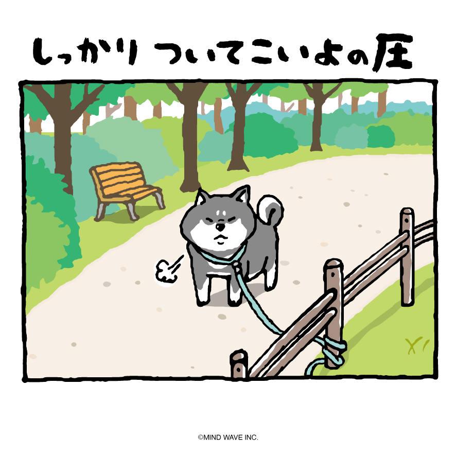 shibanban_mw's tweet photo. しっかり
ついてこいよの圧

#しばんばん
#しばんばんまんが #柴犬のいる暮らし https://t.co/pTCIUOHJX2