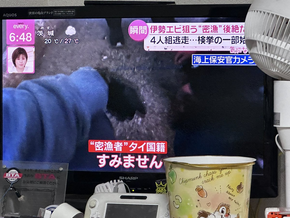 ナッシー tweet media