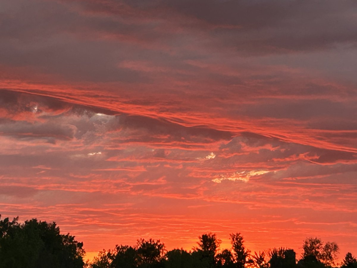 RenaudMicheline's tweet photo. Flamboyant en ce mercredi matin. Bonne journée. https://t.co/UgG6kKbPKG