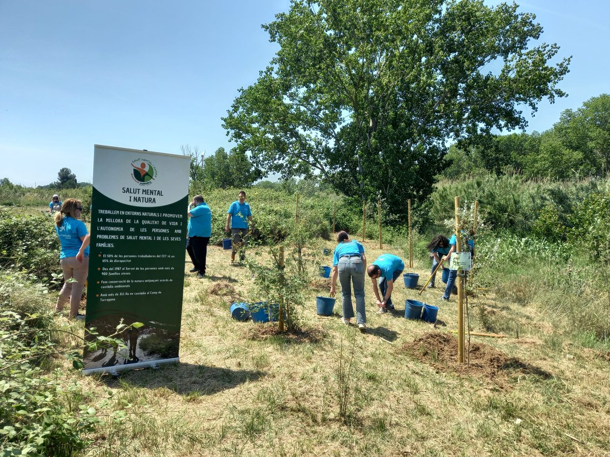 auroracet's tweet photo. Jornada de #voluntariatambiental amb 40 voluntaris/es de Barcelona i Madrid de @VoluntCABK, fent manteniment de més de 200 plantes autòctones dins projecte de restauració del bosc de ribera del riu #Francolí Francolí al seu pas per Puigdelfí #AssociacióAurora #custodiafluvial https://t.co/anMJDfbRCZ