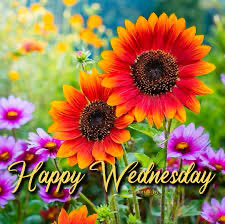 simply_love_fun's tweet photo. @Nik_Nak79 @CocoaBunnie #teamvick https://t.co/KoRFGVtJKe