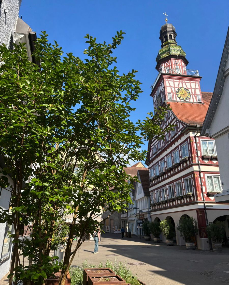 stadtkirchheim's tweet photo. Schon entdeckt? Seit Beginn des Monats findet ihr wieder die "Pop-up-Gärten in der Max-Eyth-Straße". Vielen Dank den in diesem Jahr teilnehmenden Betrieben: Der Firma Deuschle aus Notzingen, der Firma GrünTeck aus Jesingen und der DEULA. https://t.co/tyGyxfguCH