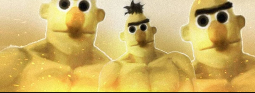 bert tweet media