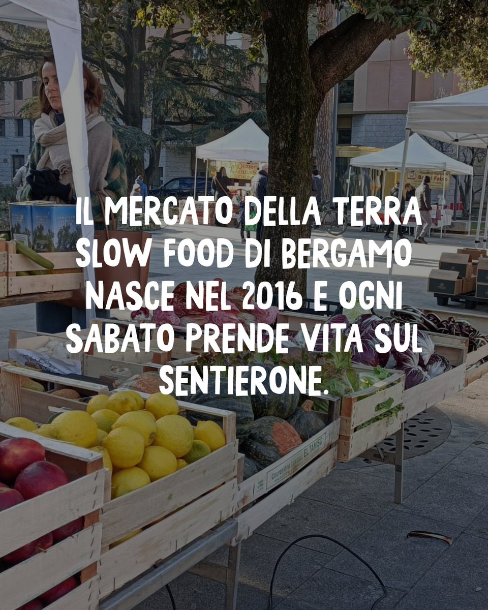 foodpolicybg's tweet photo. Dal 2016 il Mercato della Terra di Bergamo porta in città la filosofia di @SlowFoodItaly: produttori rispettosi dei ritmi della natura, filiera corta, prezzi equi per chi compra e per chi produce.Un partner importante della Food Policy di Bergamo per un futuro sostenibile.🐌🍃 https://t.co/o40IVYzZ62