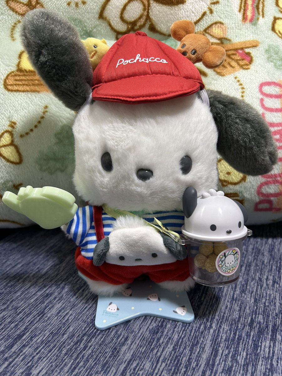 maph0907's tweet photo. おー！！
新しいぴたっとふれんずのお洋服可愛いではないか😍✨

#ポチャッコタイム
#Pochaccotime https://t.co/jpIb89H8Gc