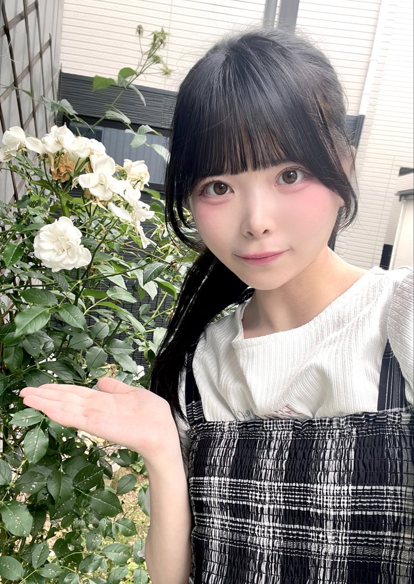 せつな🕊🎀りぼーんっ!@6/25(木)UNIDOL東海予選 tweet media