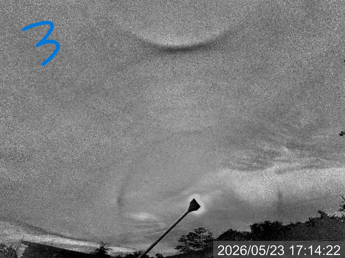 araseesaw's tweet photo. スマホRAW撮影ができたので😆比較。1.2-JPEGファイルのAOI処理、3.4-RAW(DNG)ファイルを現像後AOI処理
現像のやり方は手探りなので改善できるか🤔RAWの方がクッキリなのに3は砂をまいたような感じとなりラテラルが見えにくくなってる?
#halo_jp #AOI_SCR #UnsharpEX
https://t.co/Kcm2UsJItL https://t.co/oGplWhaJ9o