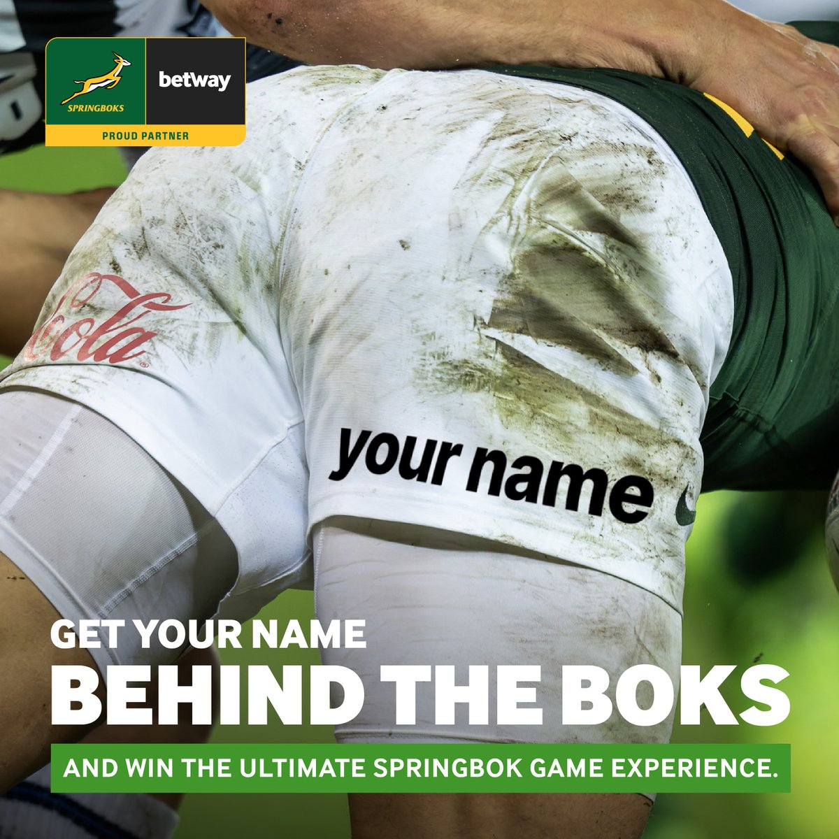 Springboks tweet media