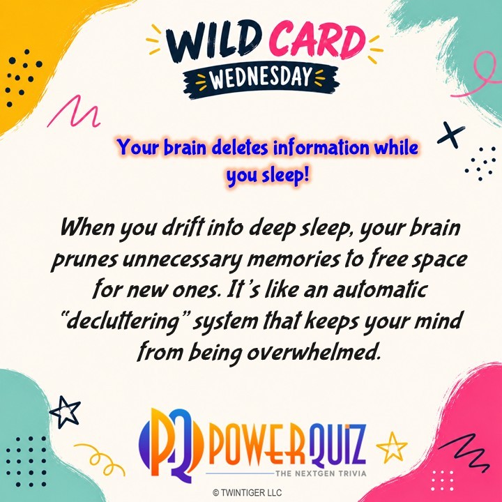 PowerQuizHQ's tweet photo. Wildcard Wednesdays with PowerQuiz! Tag a friend and share what you learned from this post! #PowerQuiz #WildcardWednesday https://t.co/XOcLAFqXeq