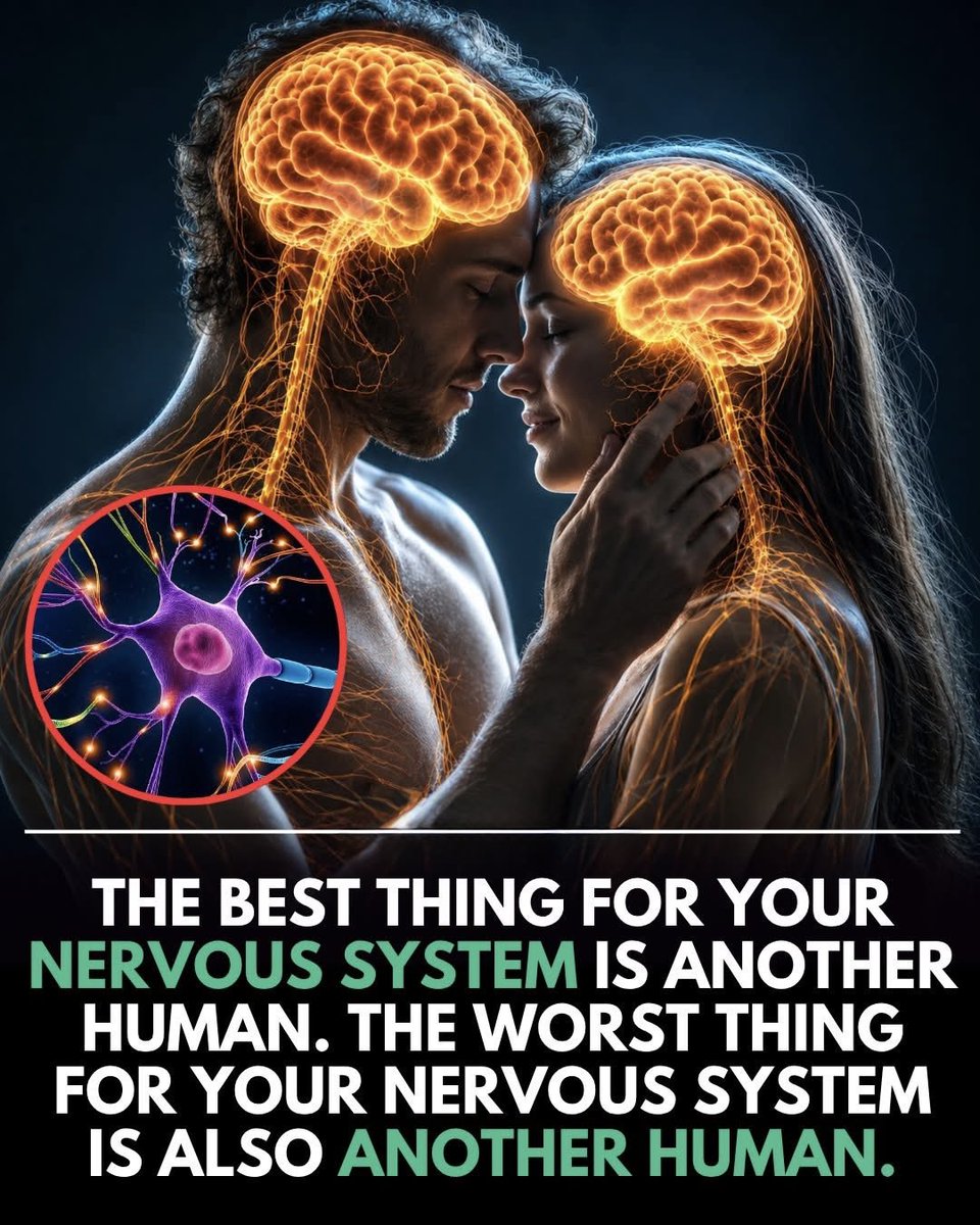 ShiningScience's tweet photo. Neuroscience research shows that human nervous systems are deeply influenced by social connection, emotional safety, and the quality of relationships around us.

Supportive interactions such as kindness, affection, calm communication, and emotional reassurance can help lower stress hormones and promote feelings of safety and stability.

On the other hand, chronic conflict, emotional neglect, unpredictability, or toxic environments can keep the body in a prolonged state of stress and hypervigilance.

Psychologists describe this process as “co-regulation,” where people unconsciously affect each other’s emotional and physiological states through tone, behavior, and connection.

Studies continue to link healthy relationships with better mental health, improved sleep, stronger immune function, lower inflammation, and greater emotional resilience over time.