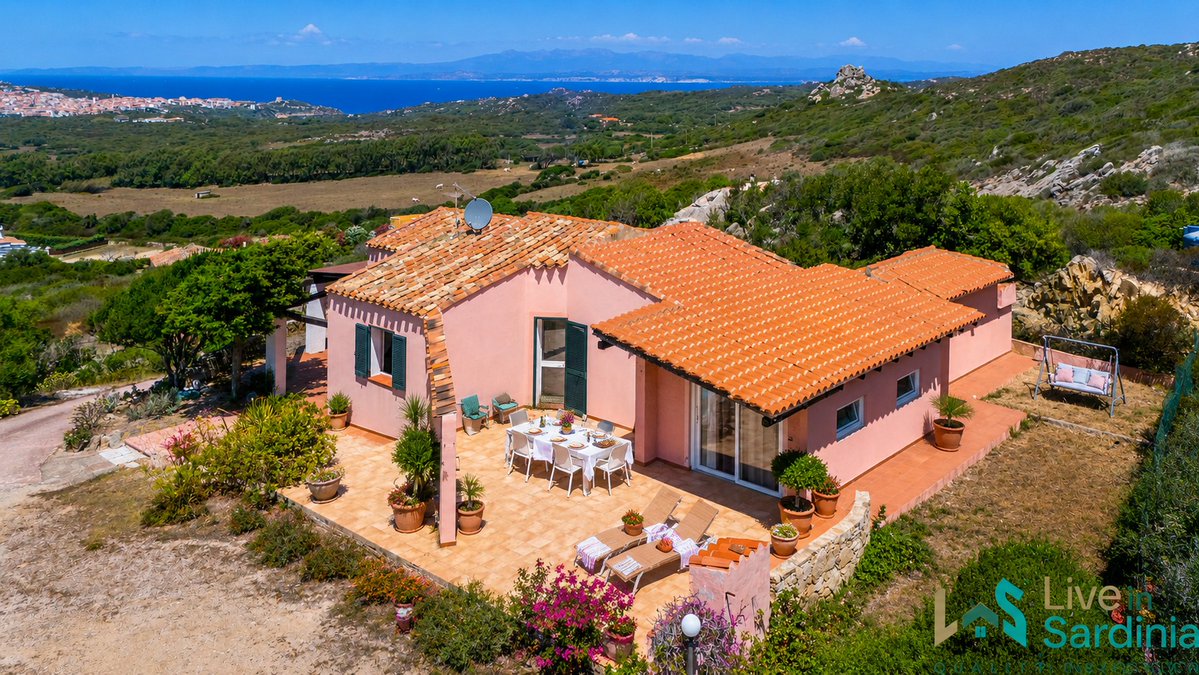Live In Sardinia tweet media