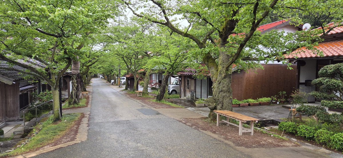 koki_shinshu's tweet photo. 岡山県新庄村
新庄宿の風景

雨のおかげもあって緑が映えて美しかった。 https://t.co/IZWXbCU8zt