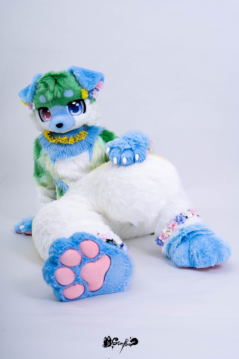 StarFire工坊 tweet media