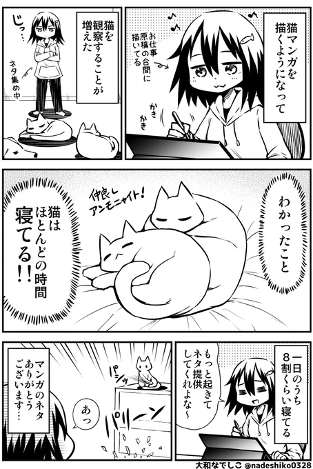 猫を飼うと幸せがいっぱいになるのでオススメ🐱 