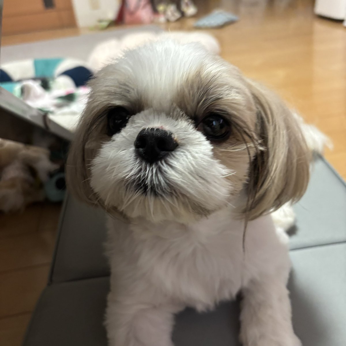 ____042810's tweet photo. https://t.co/4H4TCya8p2