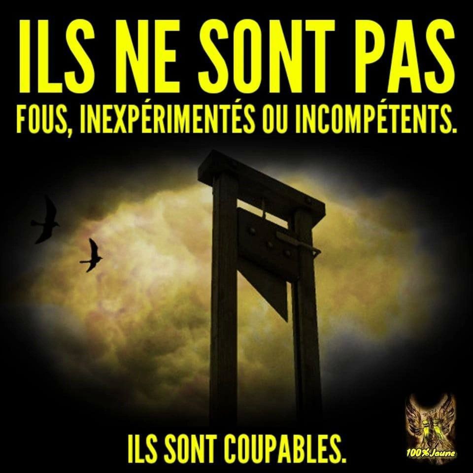 PATRICK 35 (matricule 594) tweet media