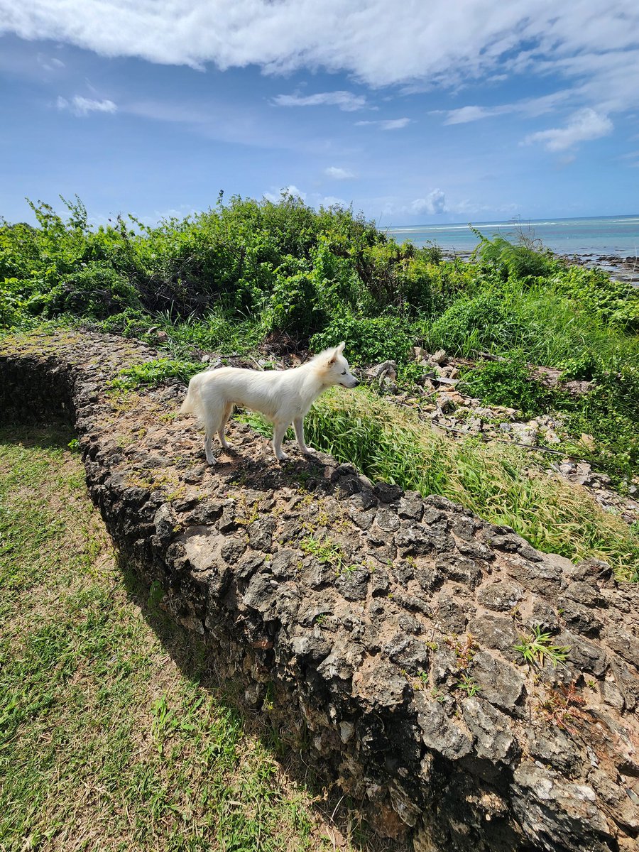 ritzmya's tweet photo. Seaside Sips https://t.co/n4OXotNBRZ