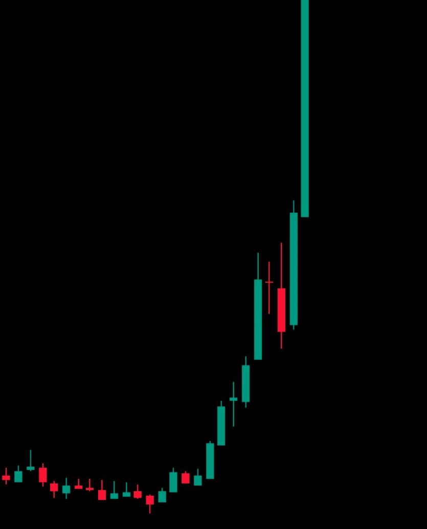 WHALE 🐳 EVERYTHING tweet media