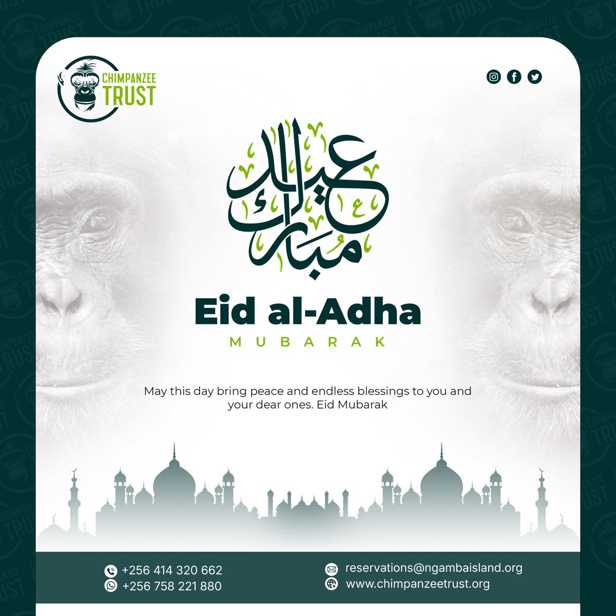 ChimpanzeeTrust's tweet photo. Eid Mubarak from all of us at Chimpanzee Trust.. https://t.co/JRz8hbCwQp