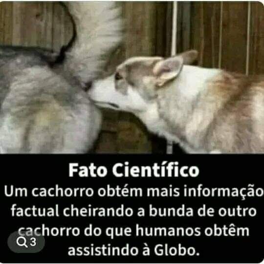 AlexandreBr40_'s tweet photo. @g1 Pode ter certeza! Rsrsrs https://t.co/voUP6PBXso