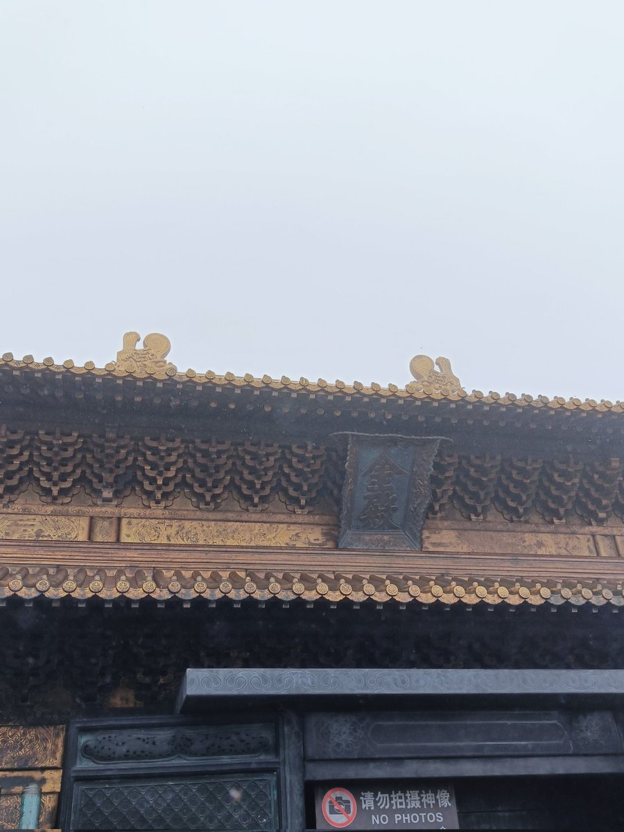 kanqing tweet media
