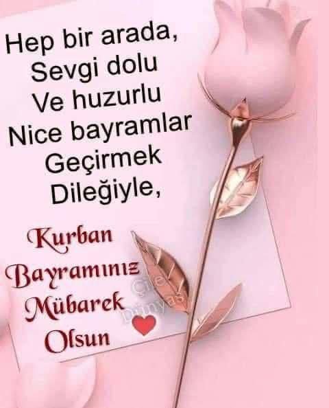 lar_yorgun's tweet photo. ÖG https://t.co/b1i816pZuf