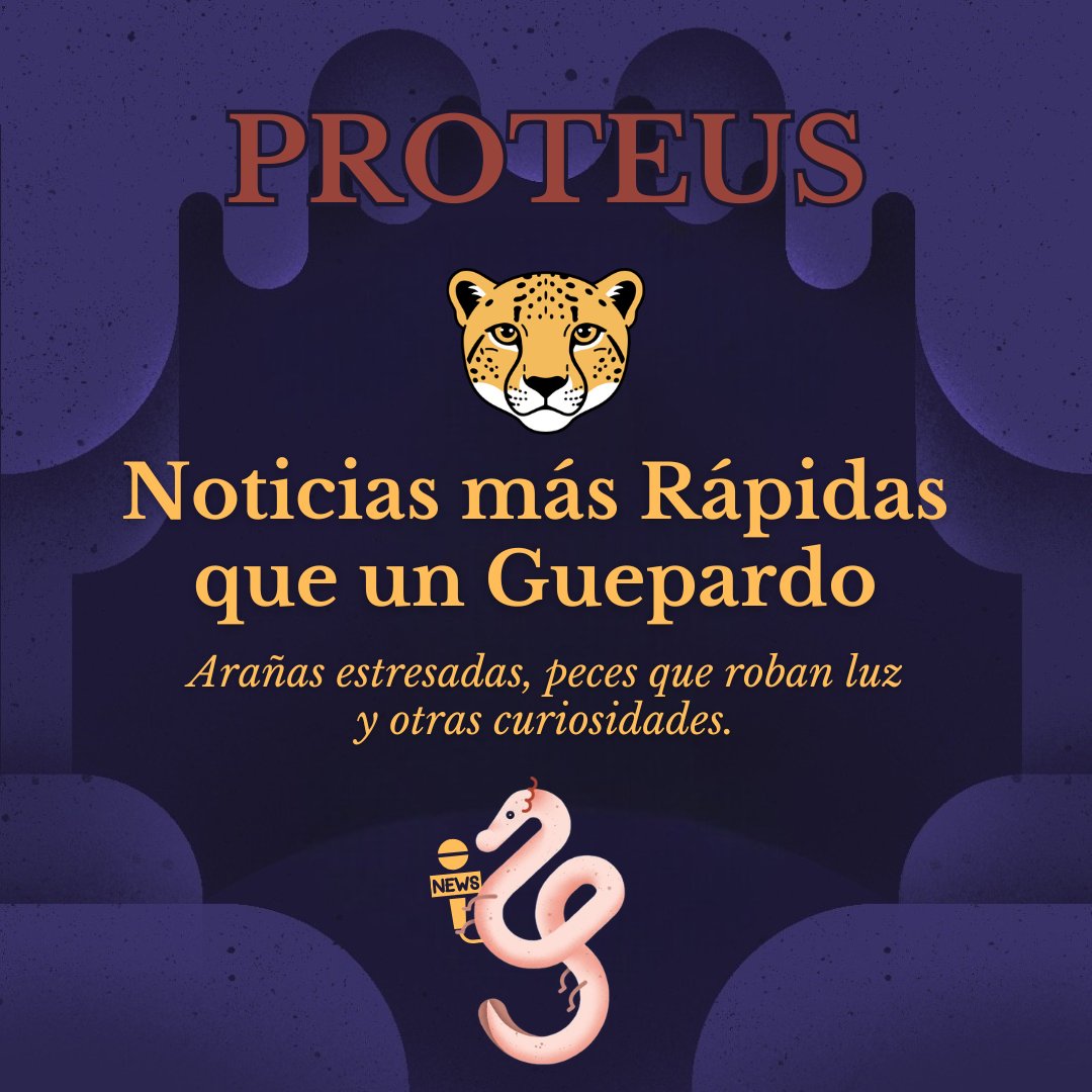 ProteusPod's tweet photo. 🎙️🐉 ¡Noticias Más Rápidas que Un Guepardo! Un espacio donde la actualidad científica no pierde el tiempo… porque si te detienes, otro ocupa tu lugar 🌱

#Ciencia #Divulgación #Biología #PodcastProteus https://t.co/tyAyrtI9Np