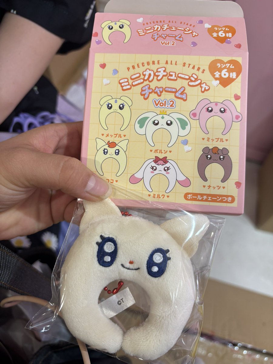 HTLrnRR's tweet photo. すごく欲しくて買ったのに💦
開けてびっくり、、
これ誰…？
#プリキュア https://t.co/nakoNMlTuL