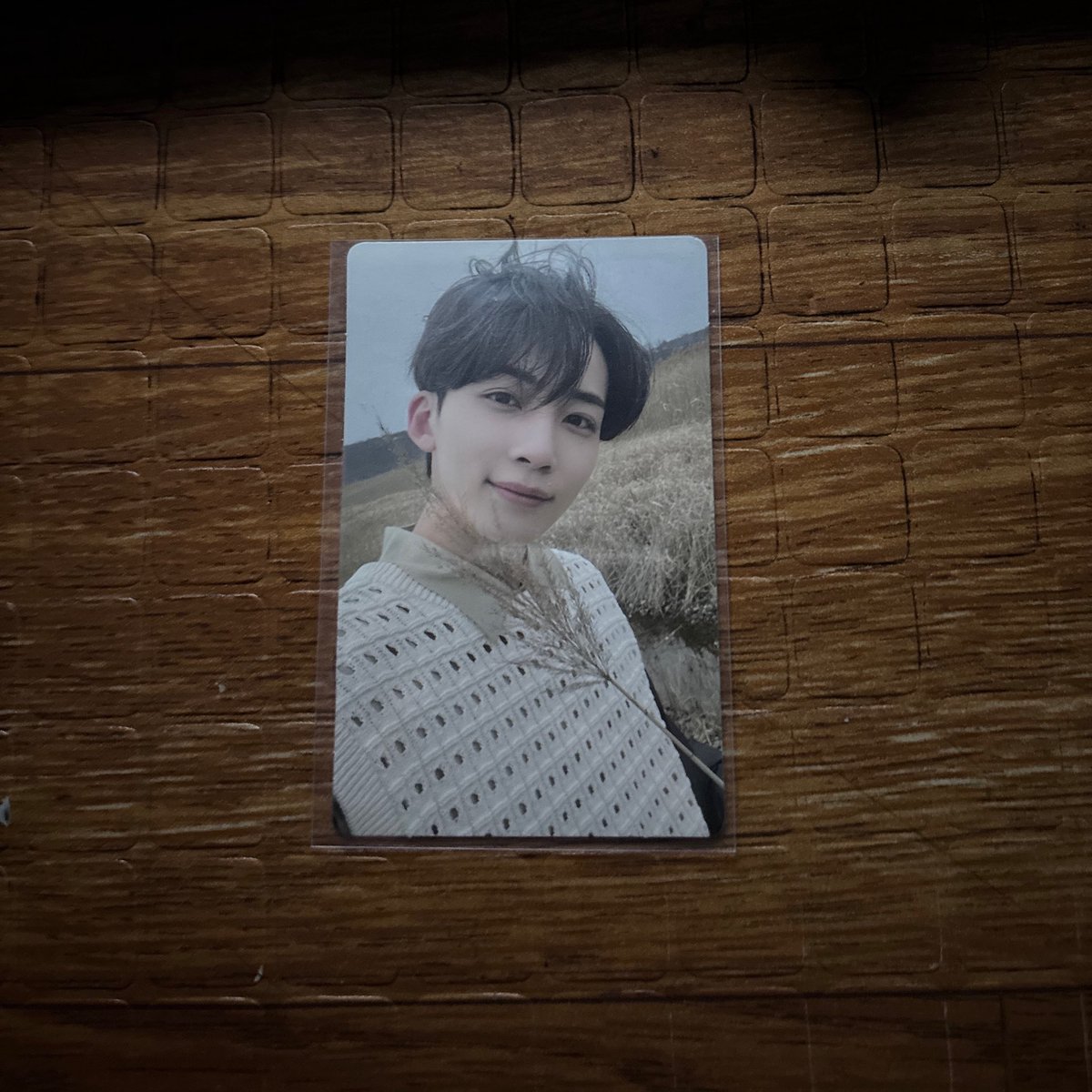 mara ♡ xianyu mercari yangdo assistance & lapags tweet media