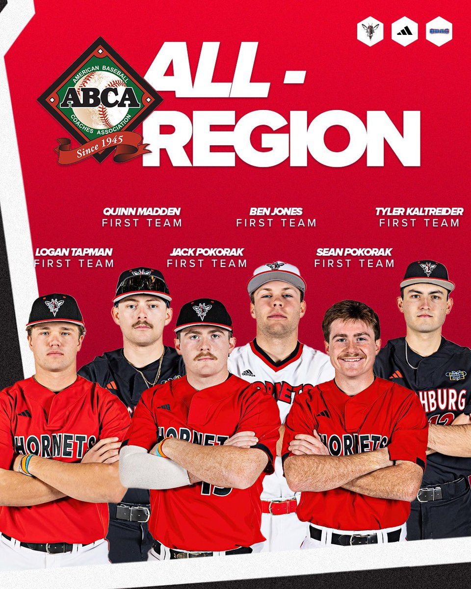 LynchburgBaseBl's tweet photo. ABCA All-Region team for your Hornets. Well deserved recognition for the work these guys put in all year, congratulations‼️ https://t.co/TTo4c3u3fD