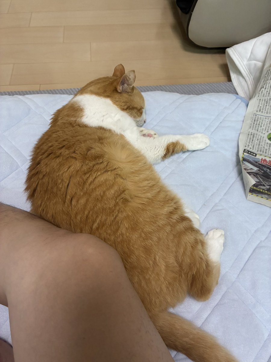 naoさん naoさんの脚きれい…