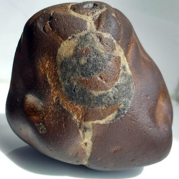 edpaxton1's tweet photo. @BBCBreaking the king thinks contraception for grey squirrels is what the modern day people should be wasting his stolen public money on and that you should call the fraudster a king for having a fake stone of destiny still when there was an actual stone to be proud of until rece https://t.co/P4ICHIxN8A