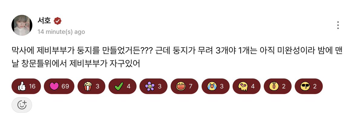 daily_seoho's tweet photo. 260527🐿️b.stage update

A swallow couple made nests at the barracks??? But there are as many as 3 nests. Since 1 of them isn't finished yet, the swallow couple sleeps on the window frame every night https://t.co/HtrXYl9hD7