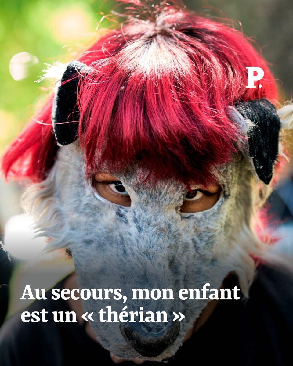 Le Point tweet media
